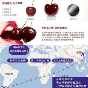 南半球車?yán)遄诱?dāng)季？智利種植商對國內(nèi)傳聞啼笑皆非